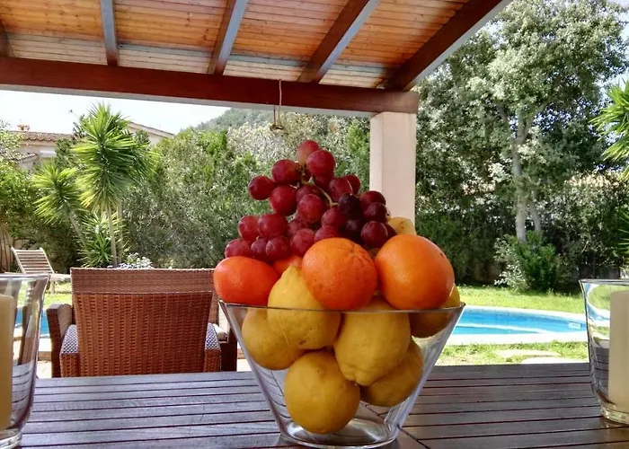 Dream House 度假居