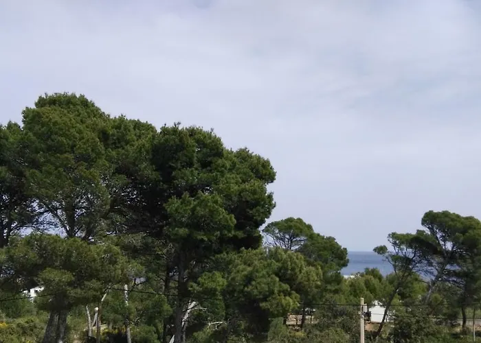 Dream House Cala Ratjada